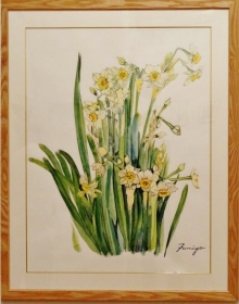 「スイセン」　藤井ふみよ