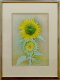 「ひまわりⅡ」　F8　石倉孝博