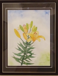 「百合」　F6　市川善朗