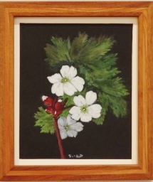 「冬至春咲花」　F2　齋藤義保