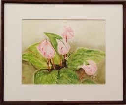 「カタクリ」　八切　河原公治