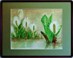 「水芭蕉」　F6　河原公治