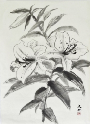 「カサブランカ」　F6　須永文江