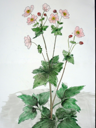 「秋明菊」　F4　植木克彦