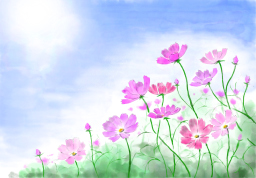 「コスモス2021」　（デジアート）　市川善朗