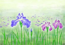 「花菖蒲２０２１」　（デジアート）市川善朗