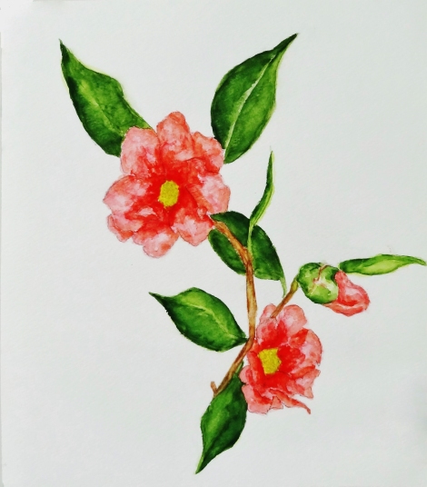 「サザンカ」　F4　齋藤義保