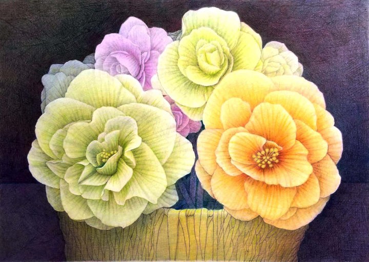 「球根ベゴニア」　色鉛筆画　F4　石倉孝博