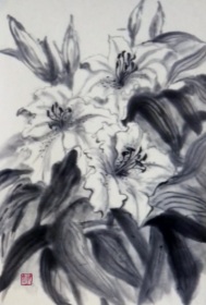 「カサブランカ」　水墨画　F4　松尾好高