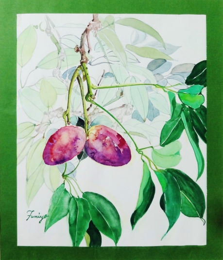 「ムベ」　　F8