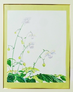 「レンゲショーマ」　　Ｆ８