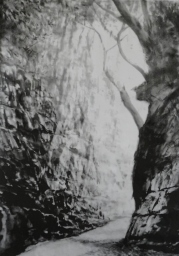 「深秋の古道」　F50号