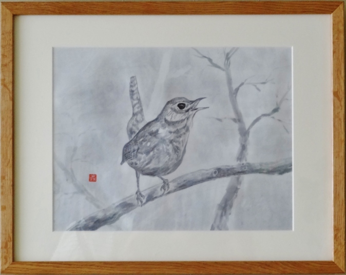 みそさざい　　斎藤義保