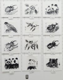 ←展示3 ←展示3