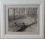 「すずかけの並木道」　石坂和明