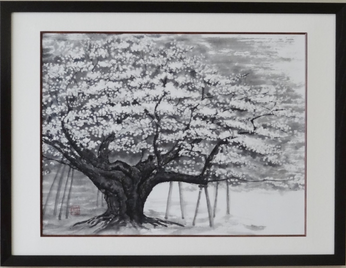 「淡墨桜」　市川善朗