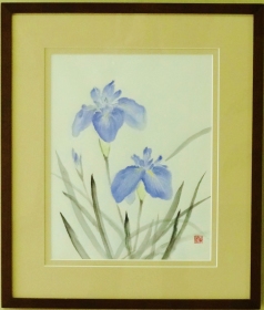 「花菖蒲」　柴日出子