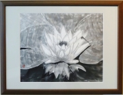 「睡蓮」 F8 高橋宏行 「睡蓮」 F8 高橋宏行