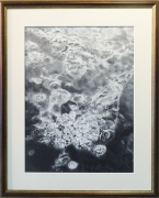 「化生氷花」 P10 河原公治 「化生氷花」 P10 河原公治