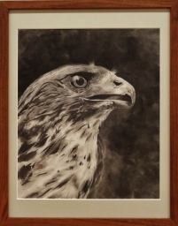 「まなざし」 齋藤義保 「まなざし」 齋藤義保