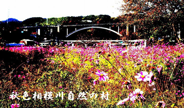 秋色小倉橋 秋色小倉橋