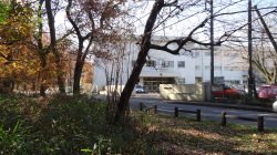 こもれびの森に隣接・大野台中学校