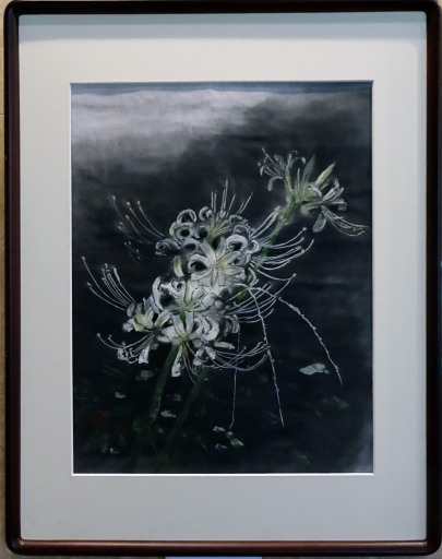 27「白い彼岸花」F7 河原公治 27「白い彼岸花」F7 河原公治