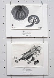 上: 6「栗原京「南瓜」 下: 7 「小林治稀「とうもろこし」 上: 6「栗原京「南瓜」 下: 7 「小林治稀「とうもろこし」