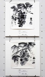 上: 17 増田夏希 「ぶどう」 下: 20 「松村愛実 「とうもろこし」 上: 17 増田夏希 「ぶどう」 下: 20 「松村愛実 「とうもろこし」