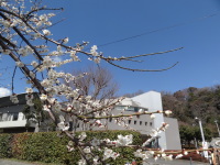 清流の里 清流の里