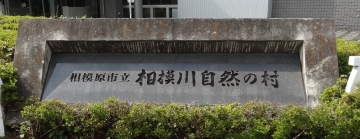 相模川自然の村風景自然の村