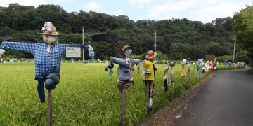 相模川自然の村風景自然の村