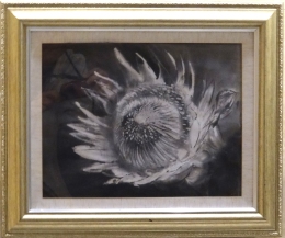 「キングプロテア」 F10 石坂和明 「キングプロテア」 F10 石坂和明