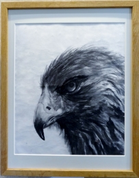 「機を待つ」 F8 斎藤義保