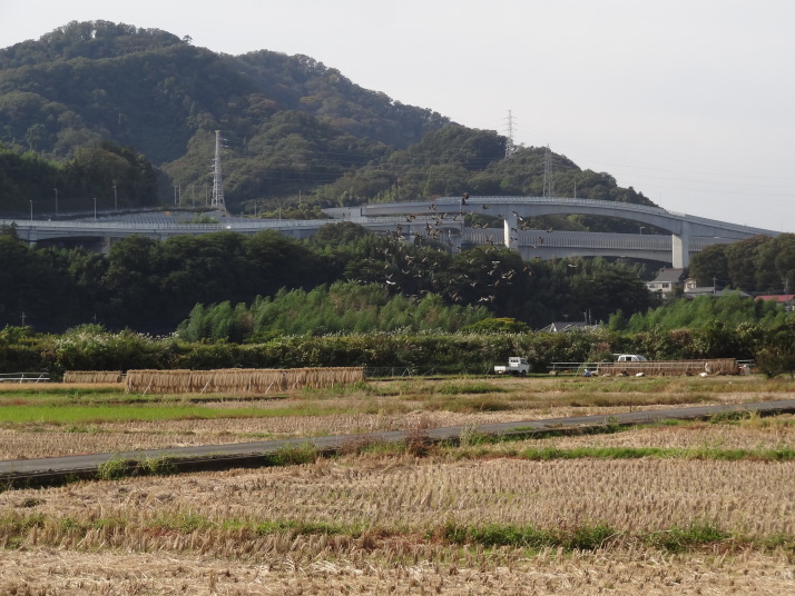 相模自然の村２０２０年１１月