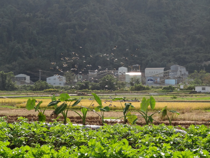 相模自然の村２０２０年１１月