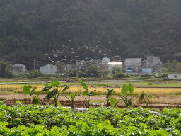 相模自然の村２０２０年１１月