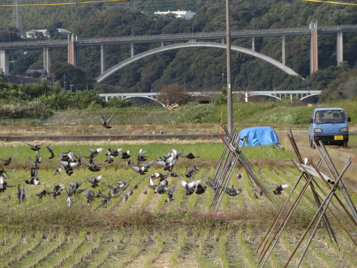 相模自然の村２０２０年１１月
