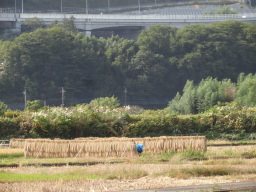 相模自然の村２０２０年１１月