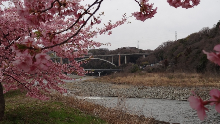 ＜清流の里展2019/03＞