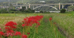 ＜清流の里展2019/09＞