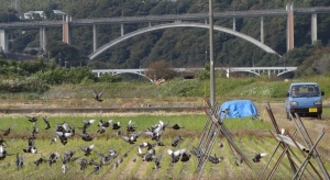 清流の里展2020/11