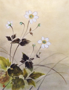 「秋明菊」 松本慶子 「秋明菊」 松本慶子