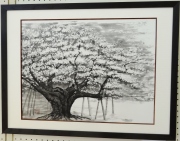 「薄墨桜」　　市川善朗