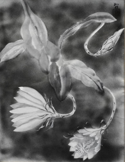 「月下美人」　石坂和明